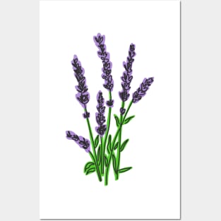 Lavender Posters and Art